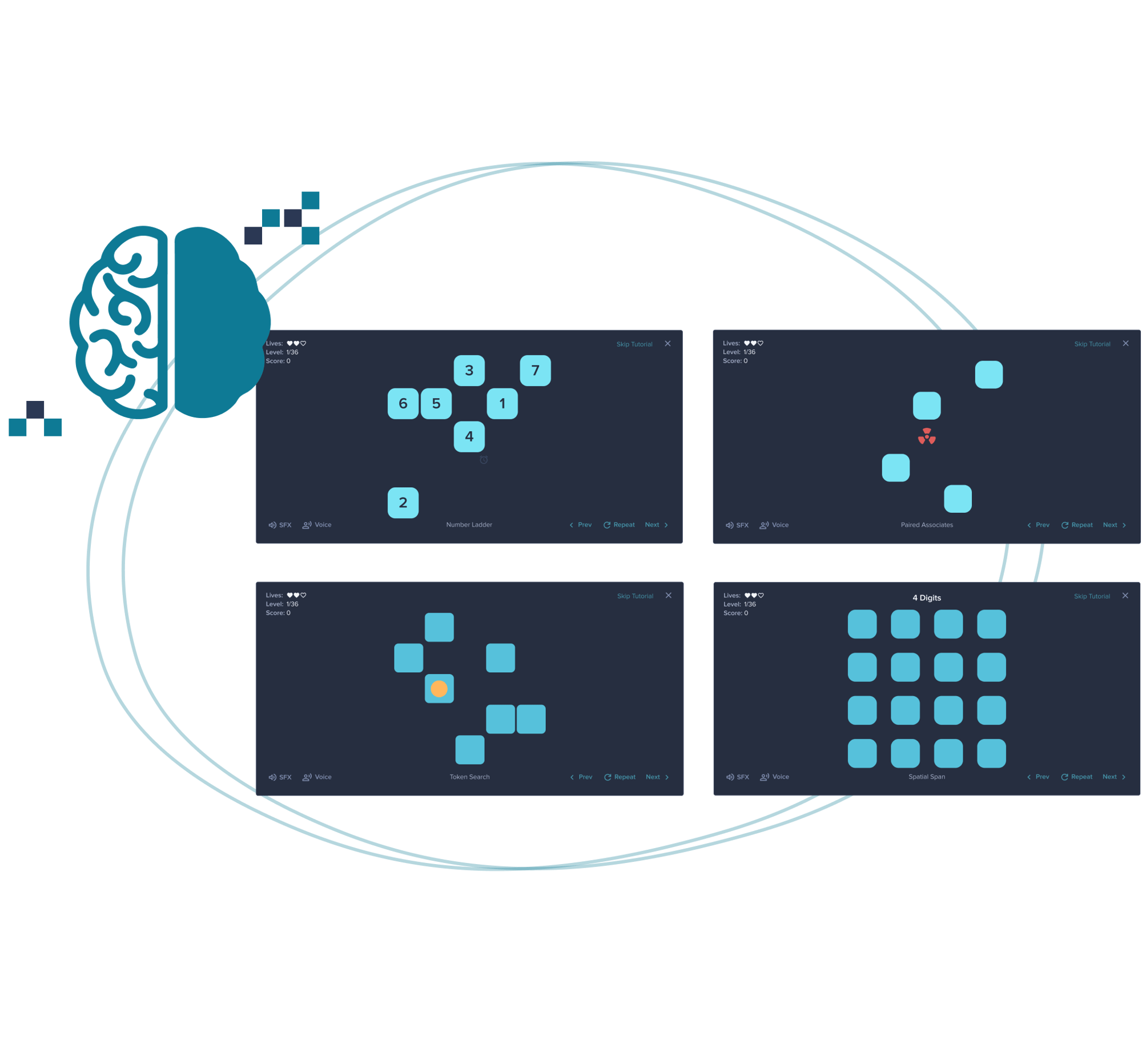 Cognitive Tasks - Memory