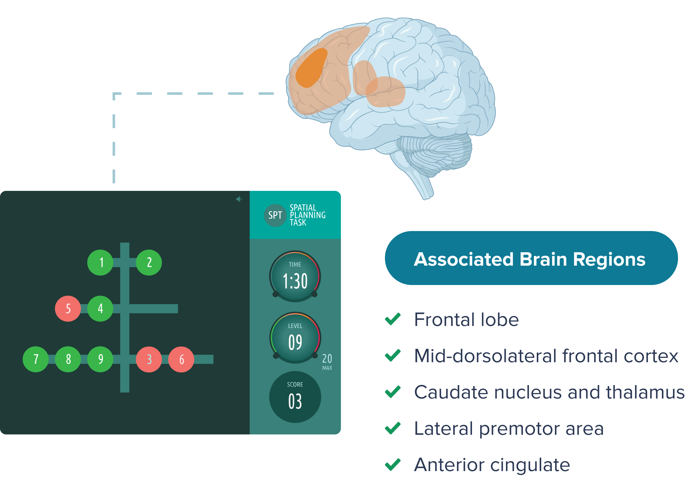 Online Cognitive Tasks | Cognitive Test Online | Creyos