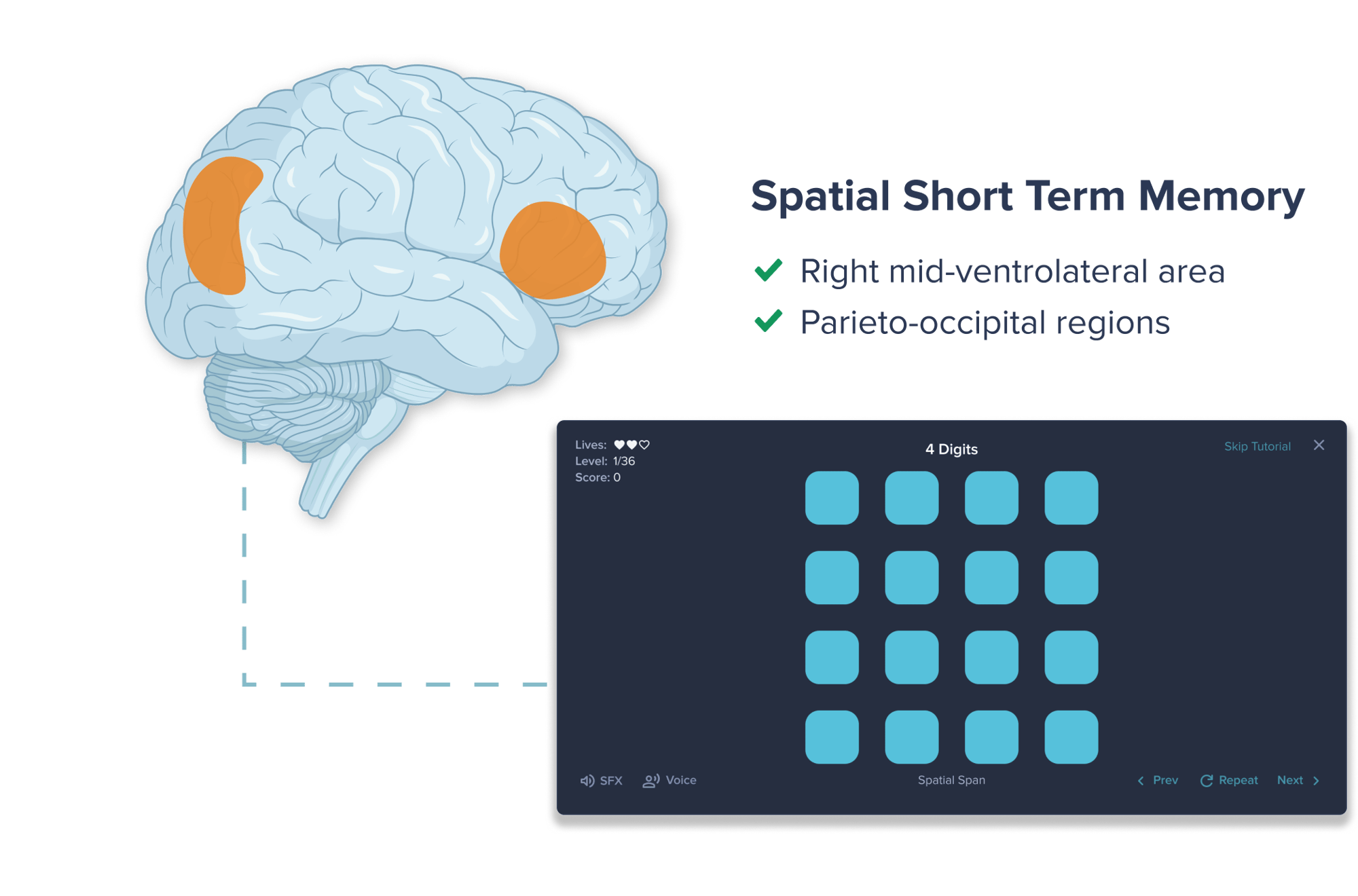 Neurologist - Increase Specificity