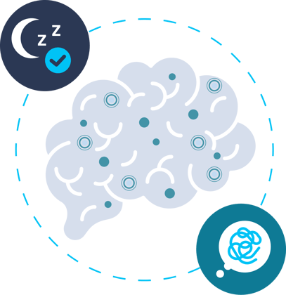 Sleep and Cognition