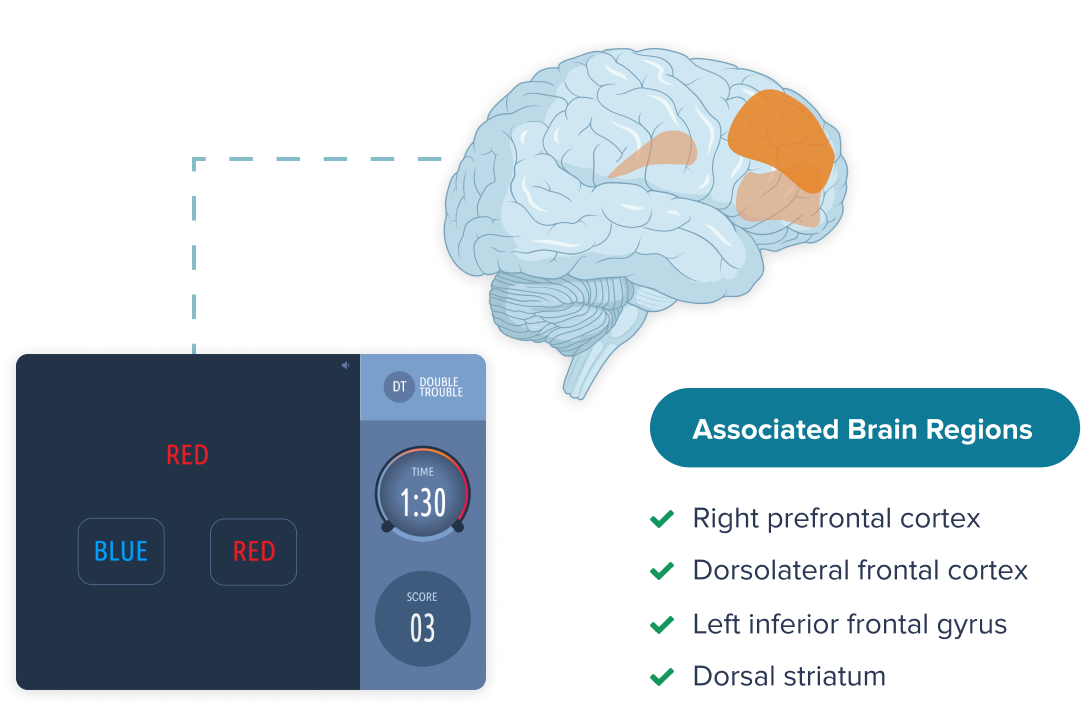 associated-brain-regions