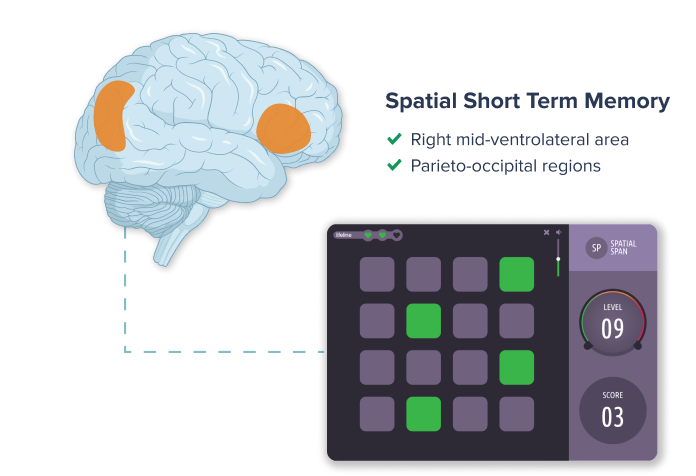 spatial-short-term-memory